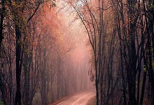 乐鱼 vip 注册-CLG横扫Vitality，Upset惊艳世界：英雄时刻背后的荣耀与激情