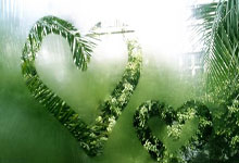 乐鱼-苏亚雷斯刷新纪录之夜，勒沃库森友谊赛对阵巴拉圭的战术启示与历史意义