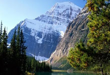 乐鱼-绝境重生，克莱·汤普森终成关键先生，灰熊压哨奇迹击碎爵士